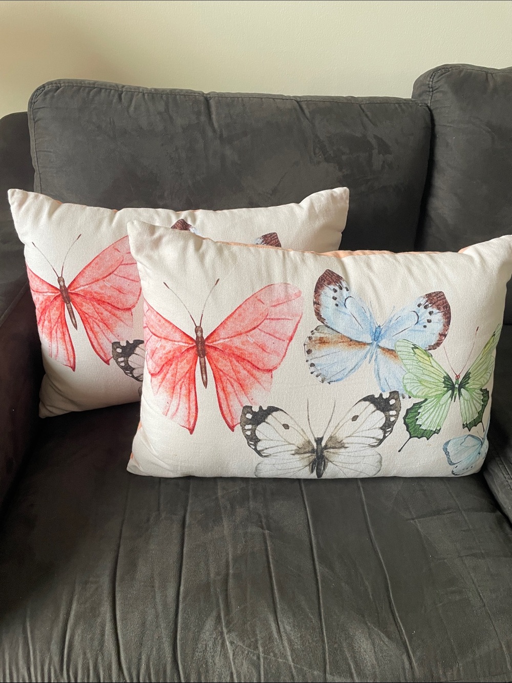 PIER 1 Pair of Butterfly 12x18 Rectangle Lumbar Throw Pillows w Zipper | GUC